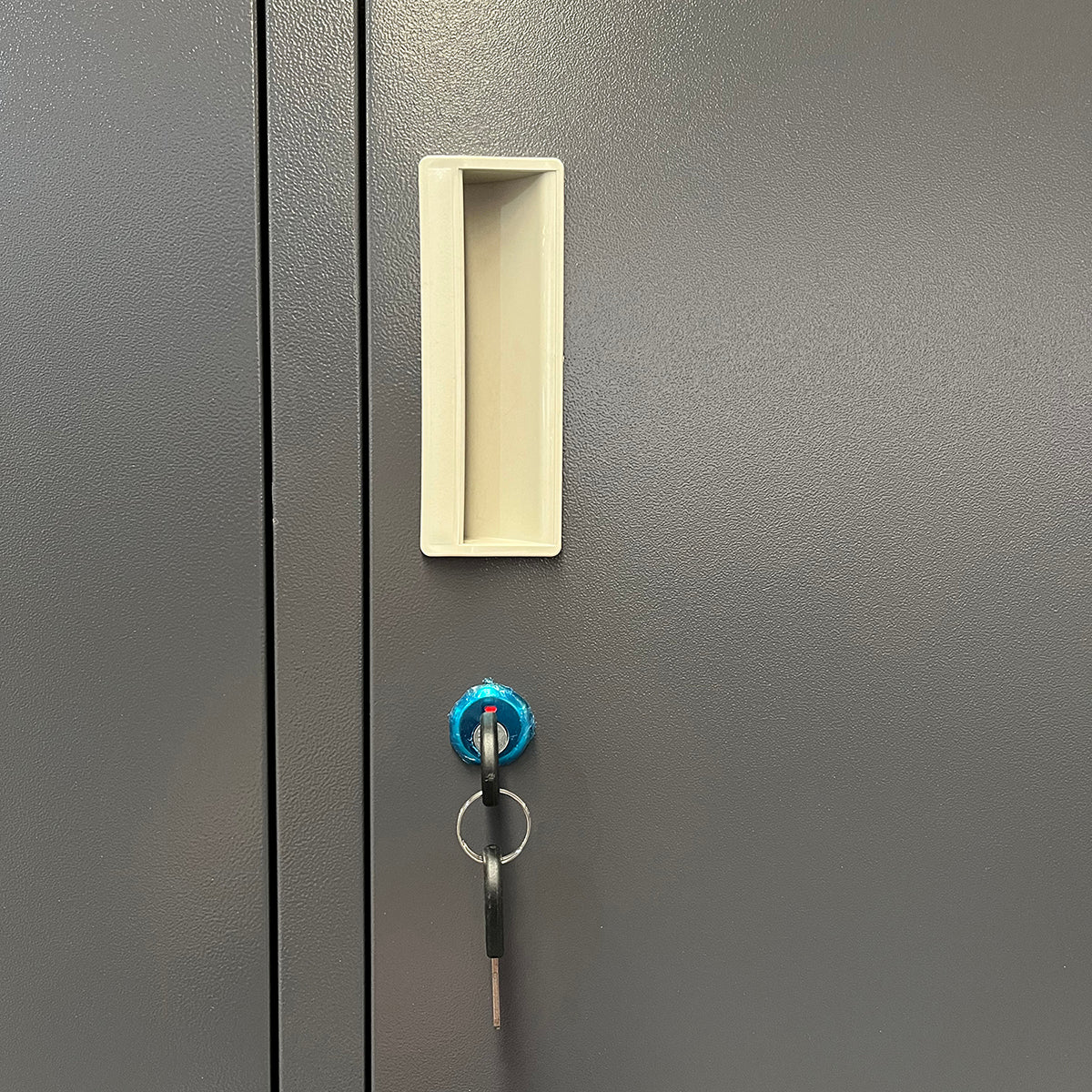 Φοριαμός ArteLibre 6 Θέσεων EARNIL Σκούρο Γκρι Μέταλλο 90x45x185cm - Hippiehome.gr