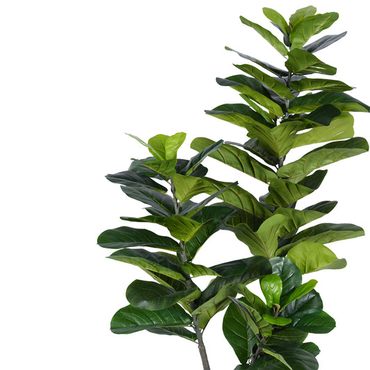 Διακοσμητικό φυτό Fiddlehead I σε γλάστρα Inart πράσινο pp Υ180εκ - Hippiehome.gr