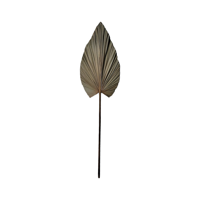Διακοσμητικό φύλλο Leafen I Inart φυσικό palm leaf 130εκ - Hippiehome.gr