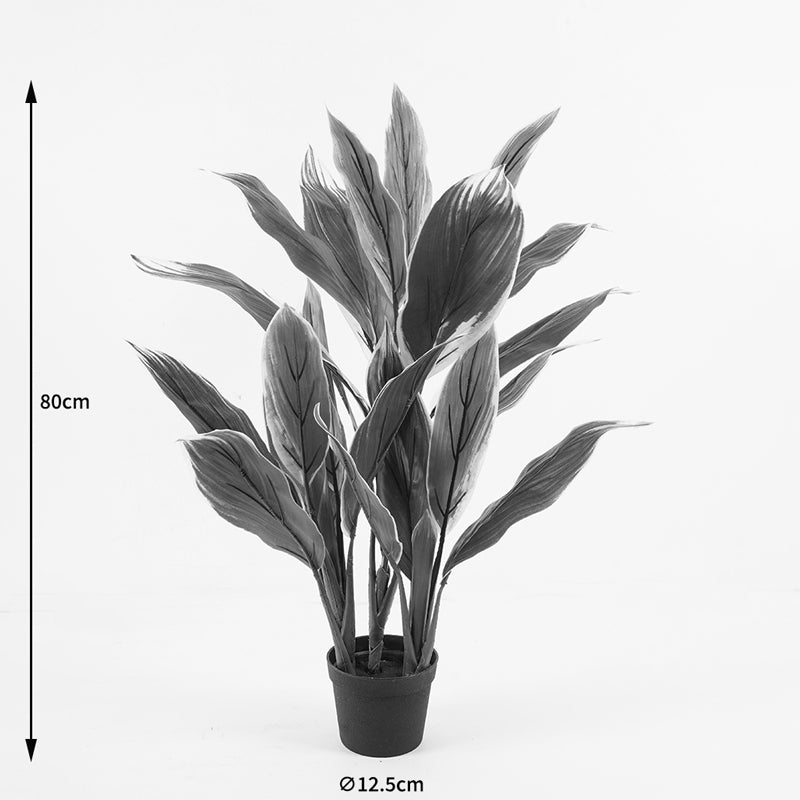 Διακοσμητικό φυτό σε γλάστρα Cycas Inart πράσινο Φ55x80εκ - Hippiehome.gr