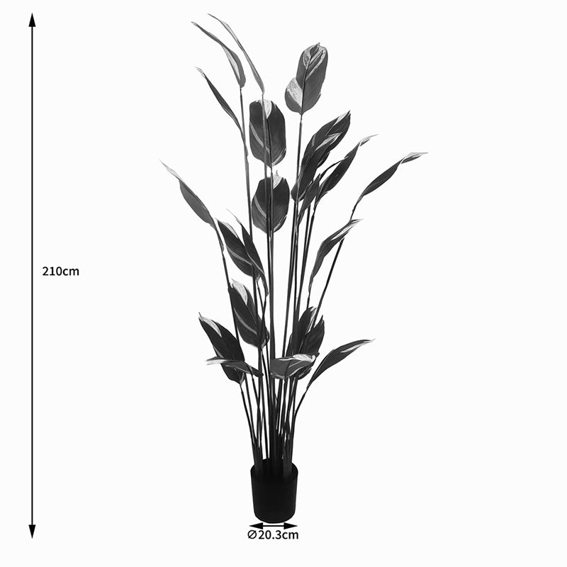 Διακοσμητικό φυτό σε γλάστρα Lucky I Inart πράσινο Φ80x210εκ - Hippiehome.gr