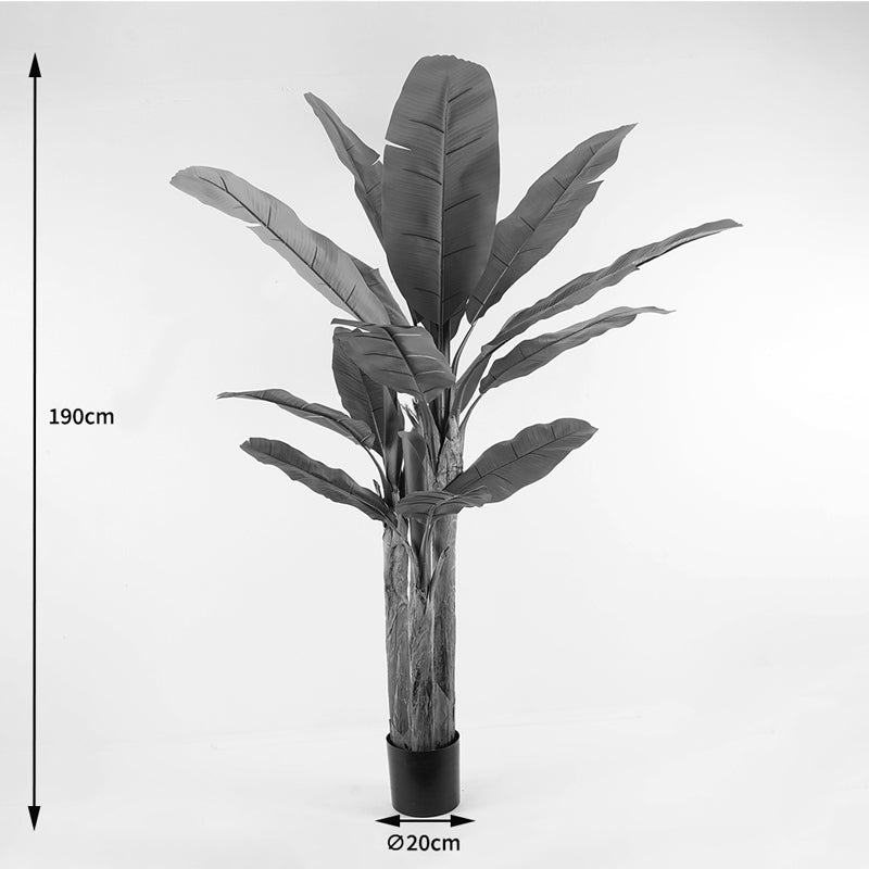 Διακοσμητικό φυτό σε γλάστρα Banana Tree Inart πράσινο Φ53x190εκ - Hippiehome.gr