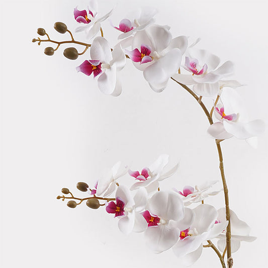 Διακοσμητικό φυτό σε γλάστρα Οrchid White Inart 36x17x65εκ - Hippiehome.gr