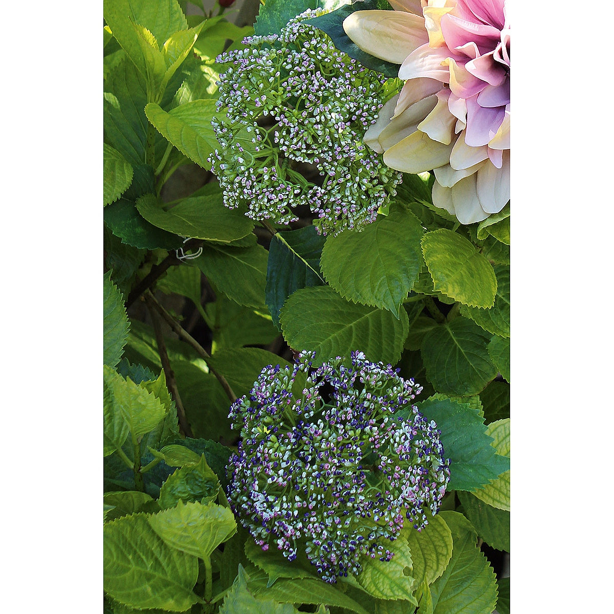 Κλαδί Άλλιον ArteLibre Τεχνητό Πράσινο/Βιολετί 12x72cm - Hippiehome.gr