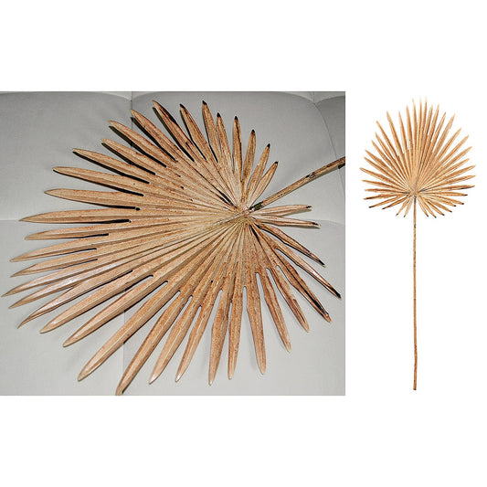 Κλαδί Φοίνικας ArteLibre Τεχνητό Εκρού 36x91cm - Hippiehome.gr