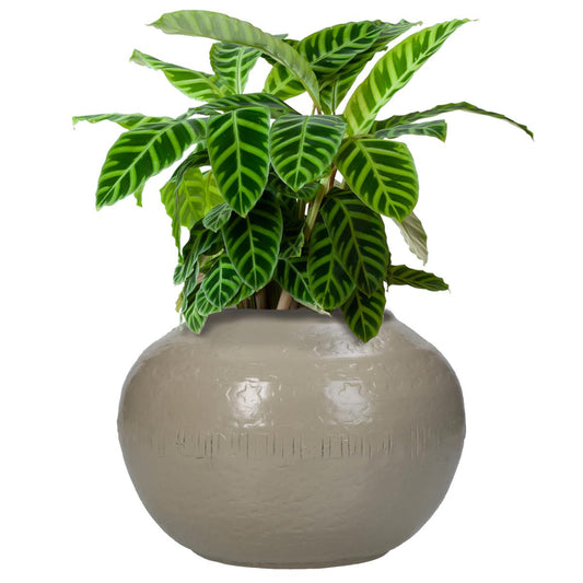 Βάζο ArteLibre Ιβουάρ Αλουμίνιο 14.5x14.5x11cm - Hippiehome.gr