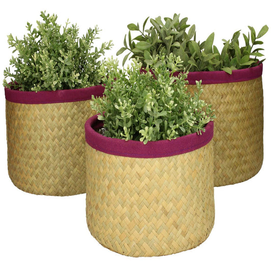 Κασπώ ArteLibre Μοβ Seagrass 27x27x17cm Σετ 3Τμχ - Hippiehome.gr