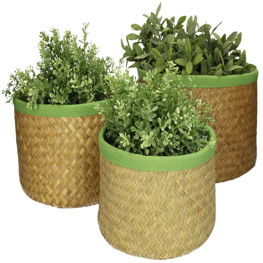 Κασπώ ArteLibre Μέντα Seagrass 27x27x17cm Σετ 3Τμχ - Hippiehome.gr
