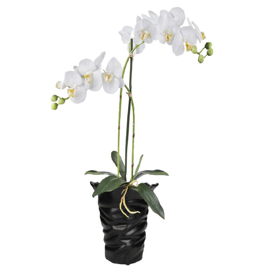 Κασπώ ArteLibre Μαύρο Κεραμικό 19.8x19.2x18cm - Hippiehome.gr