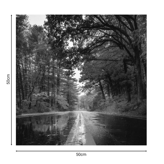 Πίνακας σε καμβά Savgone pakoworld ψηφιακής εκτύπωσης 50x1.8x50εκ - Hippiehome.gr