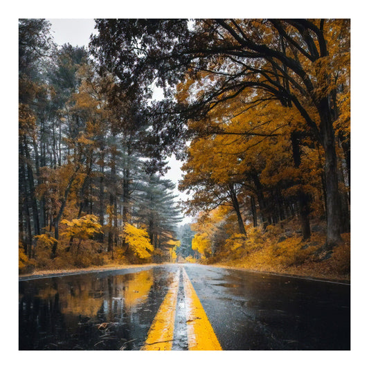 Πίνακας σε καμβά Savgone pakoworld ψηφιακής εκτύπωσης 50x1.8x50εκ - Hippiehome.gr