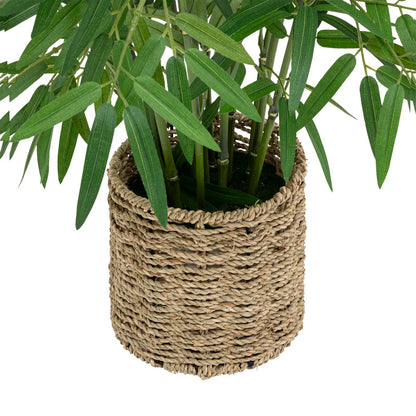 Φυτό σε γλάστρα Belica pakoworld Φ45x100εκ - Hippiehome.gr