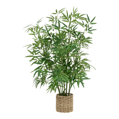 Φυτό σε γλάστρα Belica pakoworld Φ45x100εκ - Hippiehome.gr