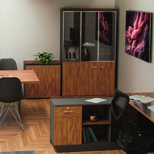 Ντουλάπα γραφείου επαγγελματική με γυάλινες πόρτες Oscar pakoworld καρυδί-ανθρακί 120x40x200εκ - Hippiehome.gr