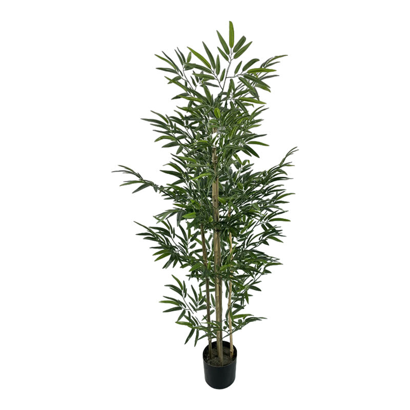 Διακοσμητικό φυτό Bamboo σε γλάστρα Inart πράσινο pp Υ150εκ - Hippiehome.gr
