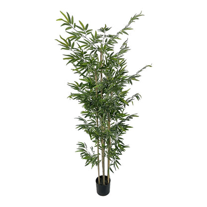 Διακοσμητικό φυτό Bamboo σε γλάστρα Inart πράσινο pp Υ190εκ - Hippiehome.gr