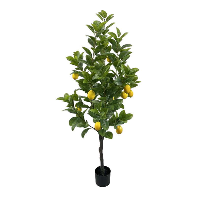 Διακοσμητικό φυτό Lemon tree σε γλάστρα Inart πράσινο pp Υ150εκ - Hippiehome.gr