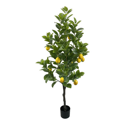 Διακοσμητικό φυτό Lemon tree σε γλάστρα Inart πράσινο pp Υ150εκ - Hippiehome.gr