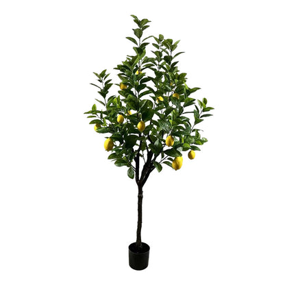 Διακοσμητικό φυτό Lemon tree σε γλάστρα Inart πράσινο pp Υ180εκ - Hippiehome.gr
