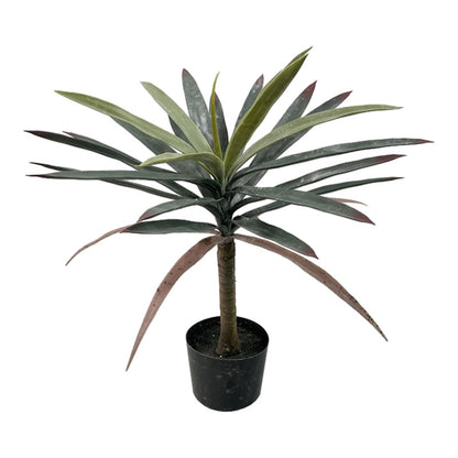 Διακοσμητικό φυτό Dracaena palm σε γλάστρα Inart πράσινο pp Υ62εκ - Hippiehome.gr