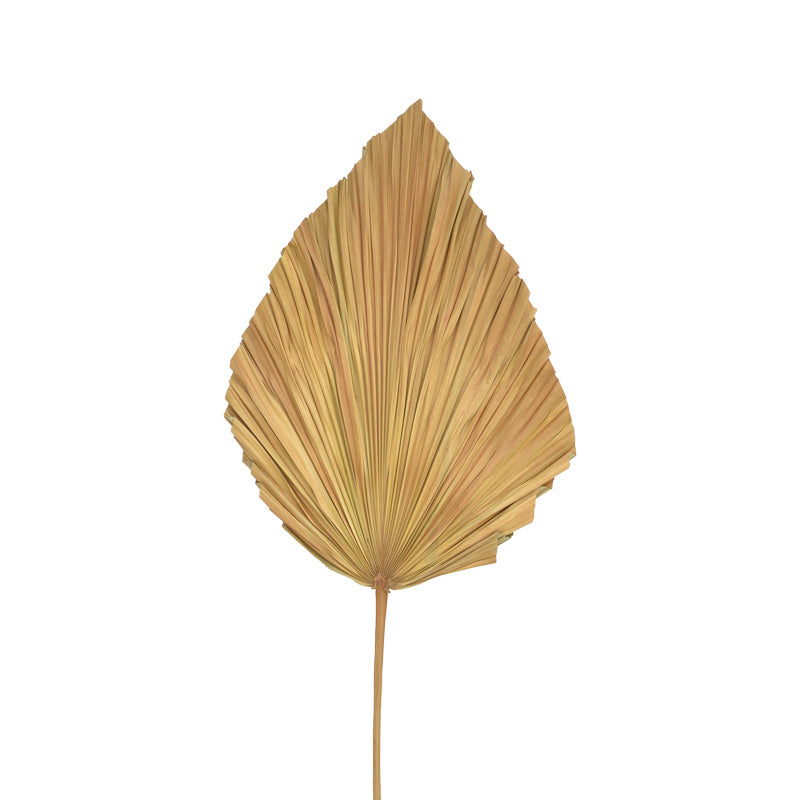 Διακοσμητικό φύλλο Walsy Inart palm leaf σε φυσική απόχρωση Υ135 εκ - Hippiehome.gr