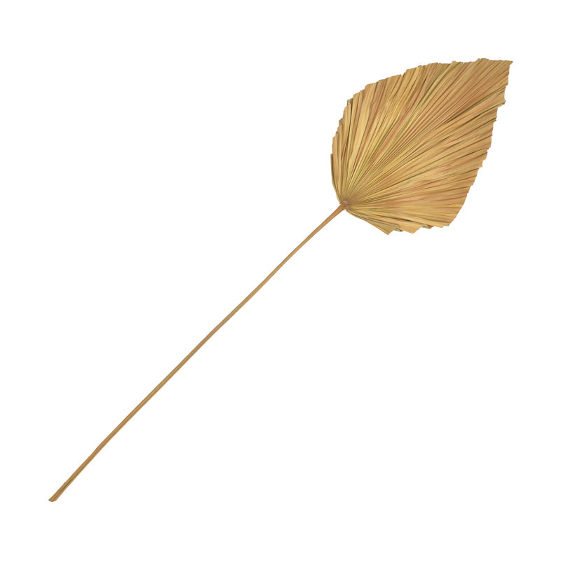 Διακοσμητικό φύλλο Walsy Inart palm leaf σε φυσική απόχρωση Υ135 εκ - Hippiehome.gr