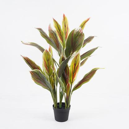 Διακοσμητικό φυτό σε γλάστρα Cycas Inart πράσινο Φ55x80εκ - Hippiehome.gr