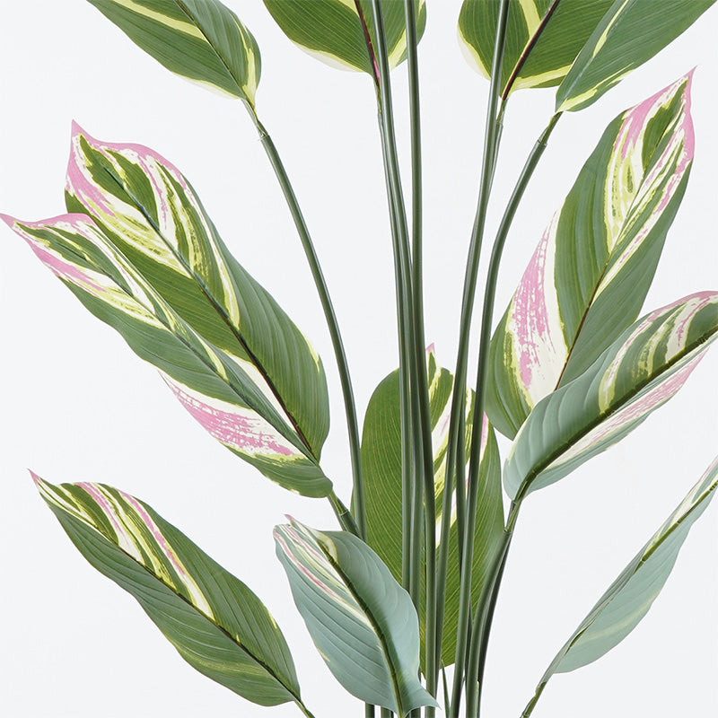 Διακοσμητικό φυτό σε γλάστρα Aglaonema Inart πράσινο Φ80x150εκ - Hippiehome.gr