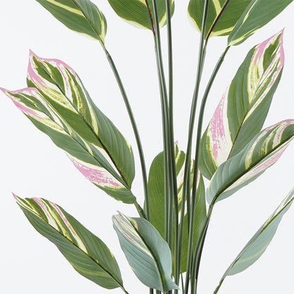 Διακοσμητικό φυτό σε γλάστρα Aglaonema Inart πράσινο Φ80x150εκ - Hippiehome.gr