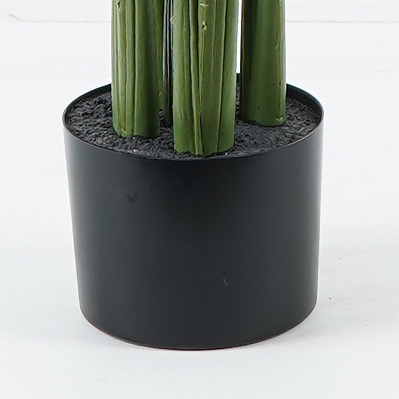 Διακοσμητικό φυτό σε γλάστρα Aglaonema Inart πράσινο Φ80x150εκ - Hippiehome.gr