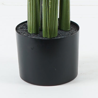 Διακοσμητικό φυτό σε γλάστρα Aglaonema Inart πράσινο Φ80x150εκ - Hippiehome.gr