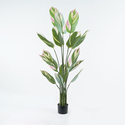 Διακοσμητικό φυτό σε γλάστρα Aglaonema Inart πράσινο Φ80x150εκ - Hippiehome.gr