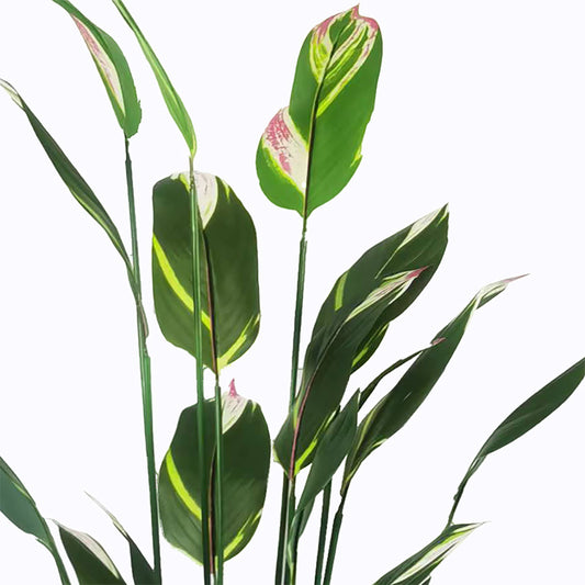 Διακοσμητικό φυτό σε γλάστρα Lucky I Inart πράσινο Φ80x210εκ - Hippiehome.gr