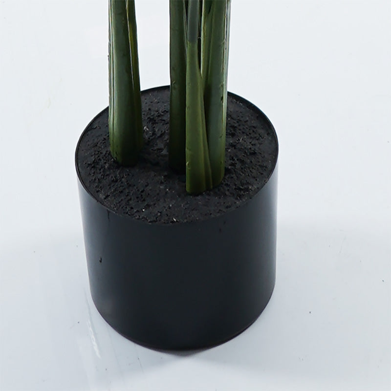 Διακοσμητικό φυτό σε γλάστρα Calathea Inart πράσινο Φ68x120εκ - Hippiehome.gr