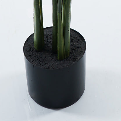 Διακοσμητικό φυτό σε γλάστρα Calathea Inart πράσινο Φ68x120εκ - Hippiehome.gr