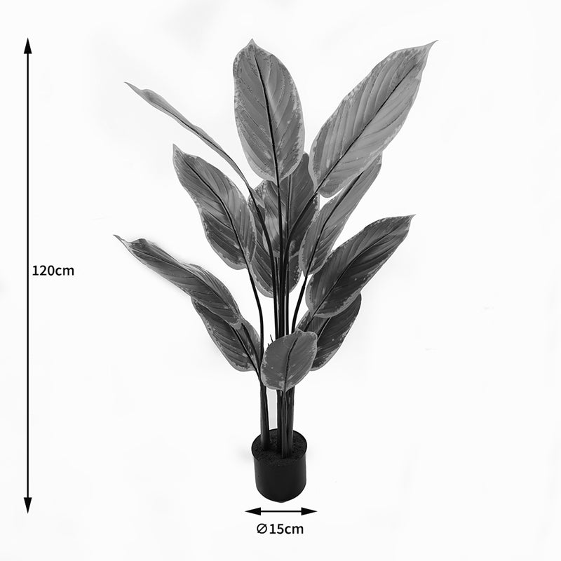 Διακοσμητικό φυτό σε γλάστρα Calathea Inart πράσινο Φ68x120εκ - Hippiehome.gr