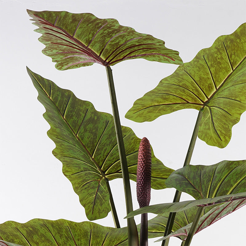 Διακοσμητικό φυτό σε γλάστρα Wentii Inart πράσινο Φ130x180εκ - Hippiehome.gr