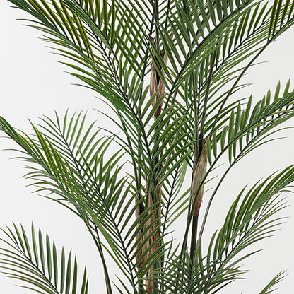 Διακοσμητικό φυτό σε γλάστρα Kwai Inart πράσινο Φ125x180εκ - Hippiehome.gr