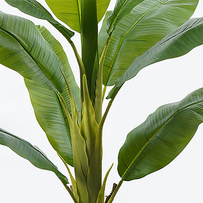 Διακοσμητικό φυτό σε γλάστρα Banono Inart πράσινο Φ95x160εκ - Hippiehome.gr