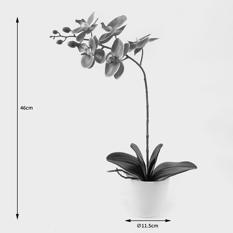 Διακοσμητικό φυτό σε γλάστρα Οrchid Beauty Inart 30x13x46εκ - Hippiehome.gr