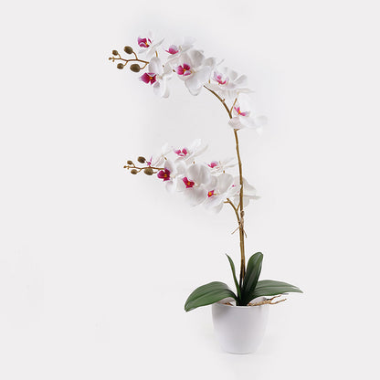 Διακοσμητικό φυτό σε γλάστρα Οrchid White Inart 36x17x65εκ - Hippiehome.gr