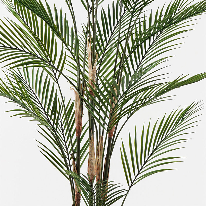 Διακοσμητικό φυτό σε γλάστρα Kwai Inart πράσινο Φ92x150εκ - Hippiehome.gr