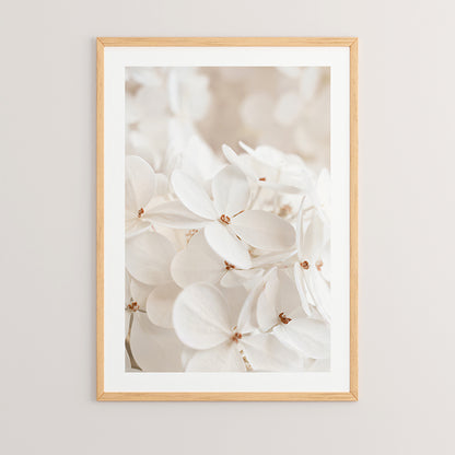 Πίνακας Belo pakoworld με ψηφιακή εκτύπωση και πλαίσιο 33x1.5x48εκ - Hippiehome.gr