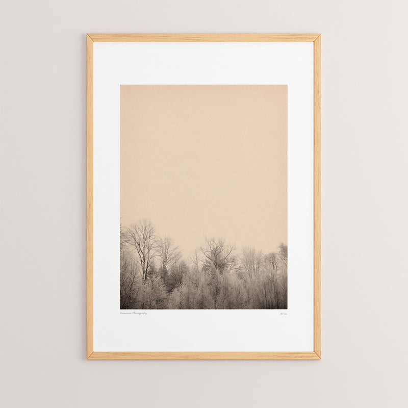 Πίνακας Quany pakoworld με ψηφιακή εκτύπωση και πλαίσιο 33x1.5x48εκ - Hippiehome.gr