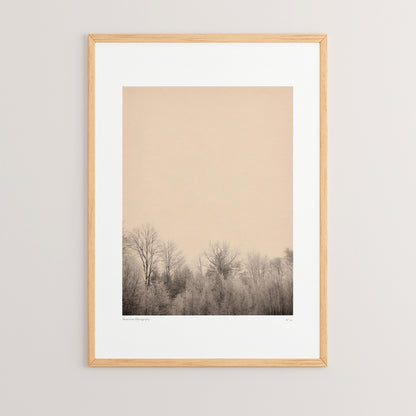 Πίνακας Quany pakoworld με ψηφιακή εκτύπωση και πλαίσιο 33x1.5x48εκ - Hippiehome.gr