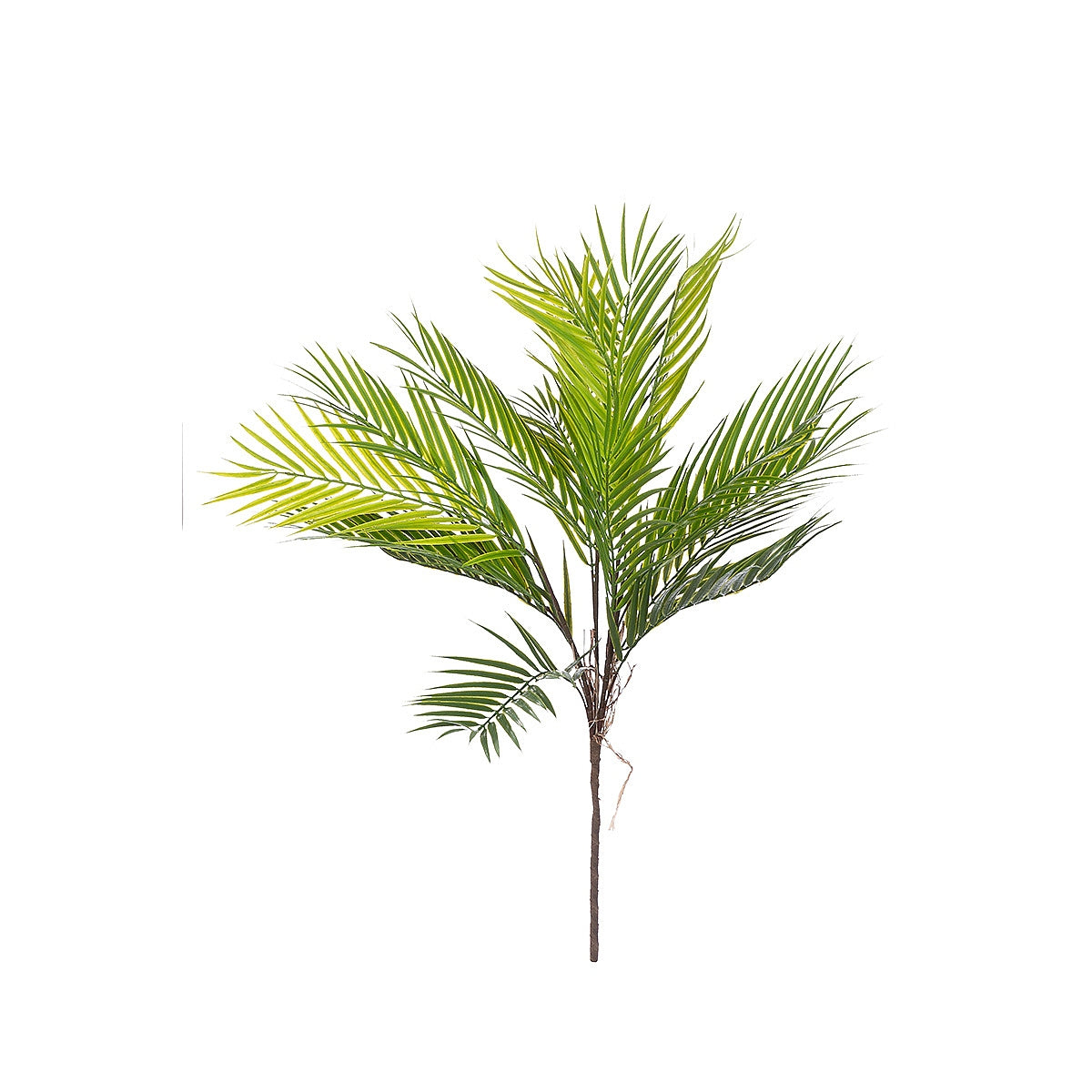 Μπουκέτο Φοίνικας ArteLibre Τεχνητό Πράσινο 65cm - Hippiehome.gr