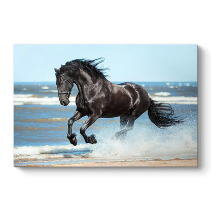 Πίνακας σε καμβά "Black Horse" Megapap ψηφιακής εκτύπωσης 100x70x3εκ. - Hippiehome.gr