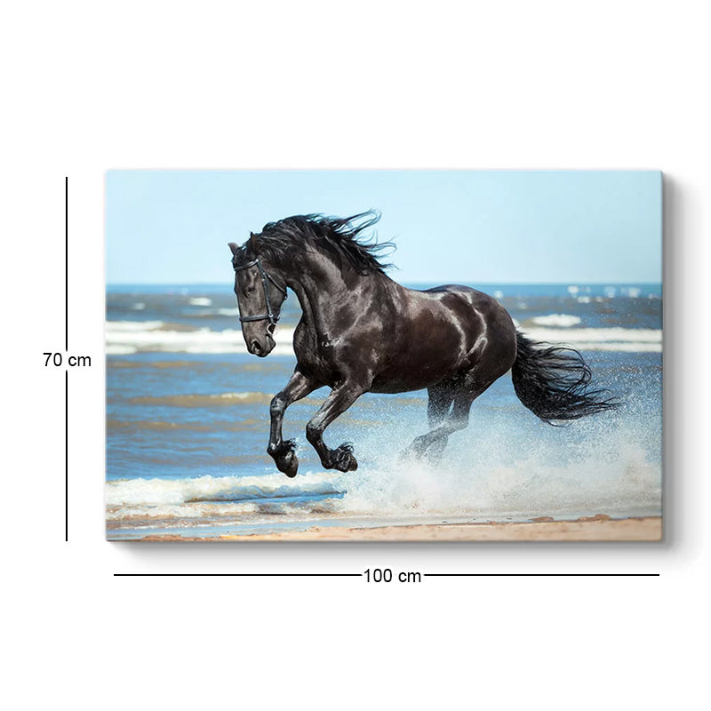 Πίνακας σε καμβά "Black Horse" Megapap ψηφιακής εκτύπωσης 100x70x3εκ. - Hippiehome.gr