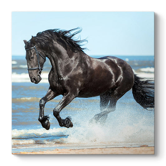 Πίνακας σε καμβά "Black Horse" Megapap ψηφιακής εκτύπωσης 60x60x3εκ. - Hippiehome.gr