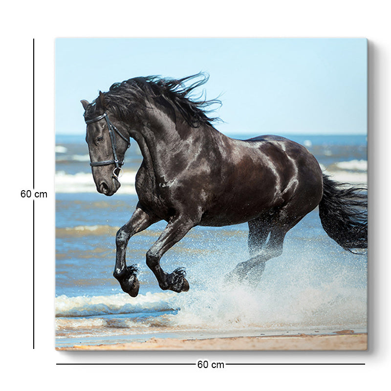 Πίνακας σε καμβά "Black Horse" Megapap ψηφιακής εκτύπωσης 60x60x3εκ. - Hippiehome.gr
